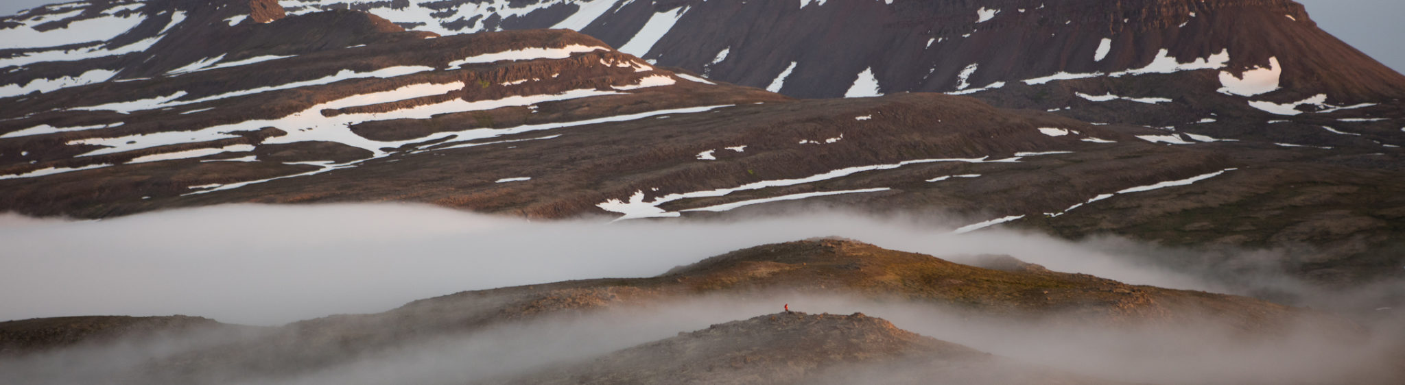 Traditional Icelandic Food - GO Iceland