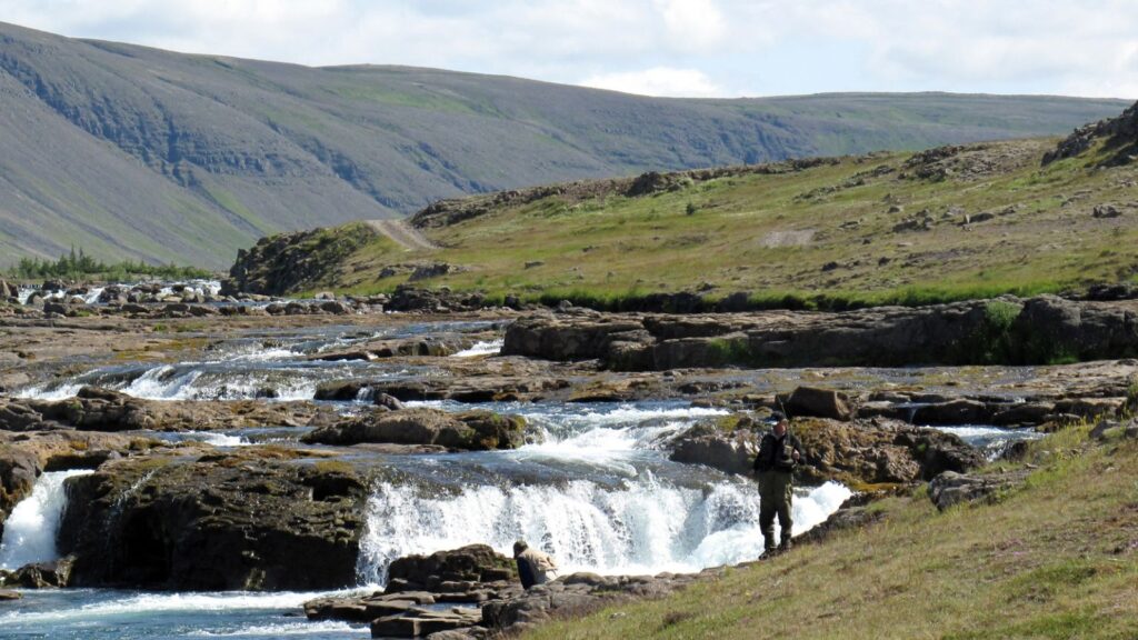 A fisherman in Iceland fishing for salmon in a river.