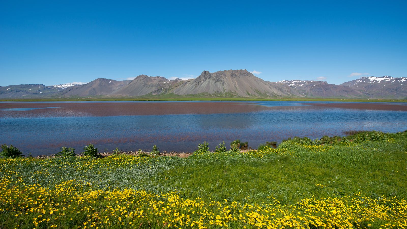 Best Places to Camp on the Snæfellsnes Peninsula - GO Iceland